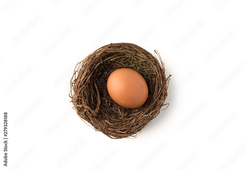 Egg in bird's nest on isolated white background Egg in bird's nest on isolated white background