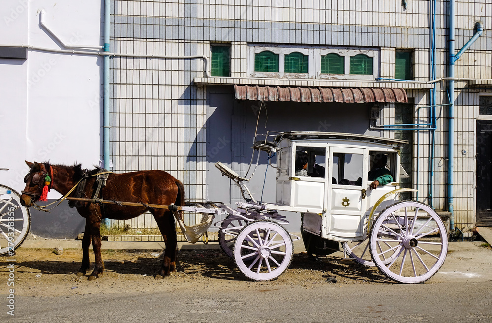 Horse cart on street in Pyin Oo Lwin, Myanmar