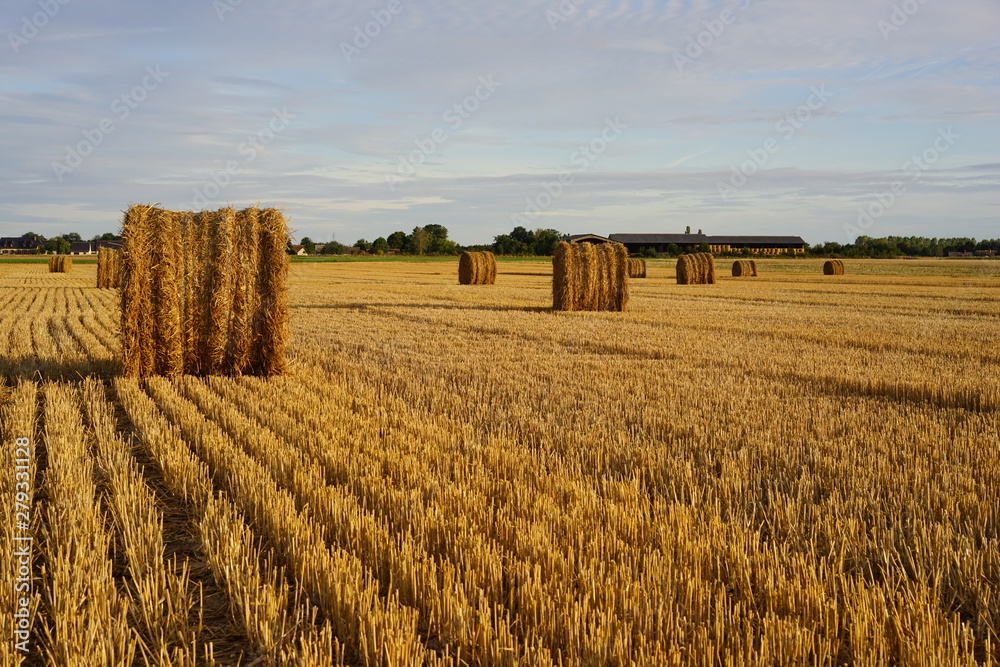 Paysage Campagne 464