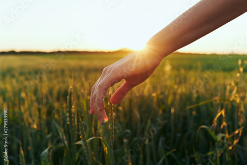 hand sun rays sunset grass