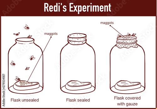  Francesco Redi 1668 experiment
