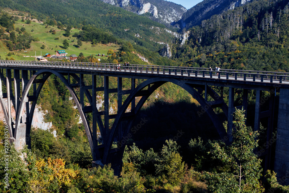 Dzhurdzhevich Bridge in the canyon of the river Tara Dzhurdzhevich Bridge in the canyon of the river Tara