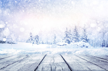 Winter christmas scenic landscape with copy space. Wooden flooring strewn with snow in forest  with fir-trees covered with snow on nature.