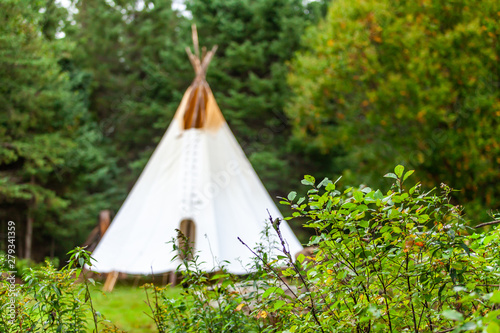 Fusion of cultural & modern music event. A tall blurry teepee tent is viewed in the background, behind fresh green foliage in a woodland campsite during a celebration of native cultures and traditions © Valmedia