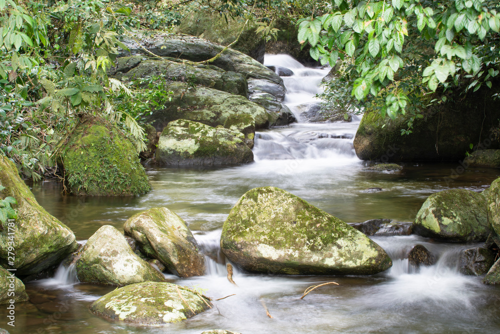 Riacho na Mata Atlântica em Ilhabela, SP, Brasil