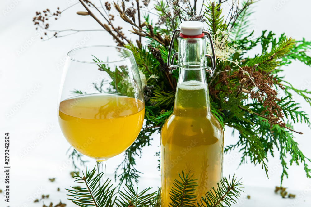 Organic & healthy homebrew mushroom tea. Kombucha is viewed up close in