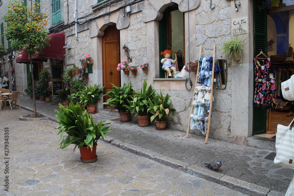 Obraz premium Pigeon on street of Valldemossa, West Coast, Mallorca, Spain
