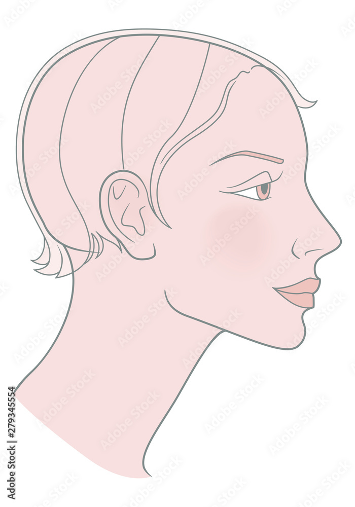 Girl with a short haircut and a beautiful skull. Template. Vector image