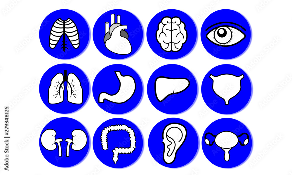 Healthcare body organs vector icon pack for Powerpoints Google Slides and Keynote presentations Healthcare body organs vector icon pack for Powerpoints Google Slides and Keynote presentations