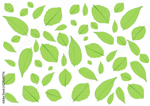 Leaves Green pattern on white background illustration