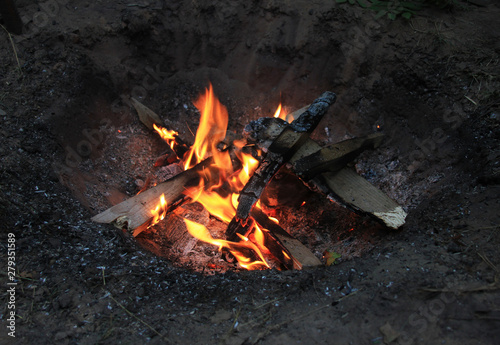 A bonfire in a forest