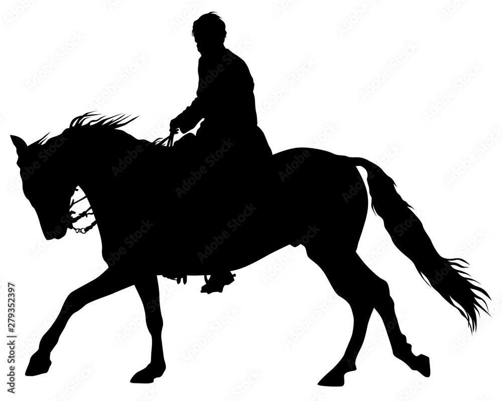 Horseman rides a horse on a white background Horseman rides a horse on a white background
