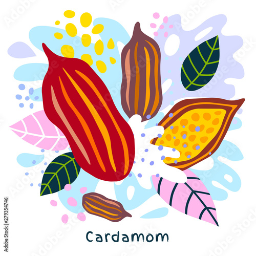 Fresh cardamom juice splash organic food condiment spice splatter on abstract colorful splatter splash background vector hand drawn illustrations