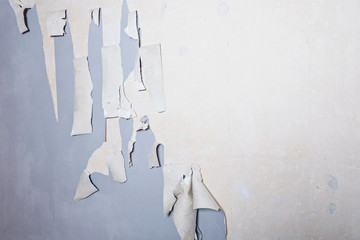 Removing old wallpaper from the wall