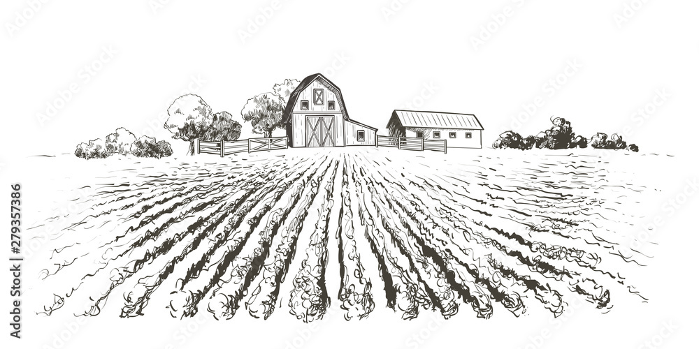 Rural landscape field . Hand drawn vector illustration. Countryside landscape. Engraving style