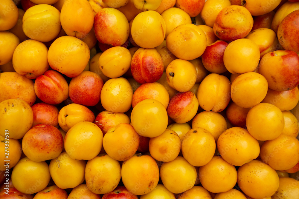 A lot of plums on sale at farms market