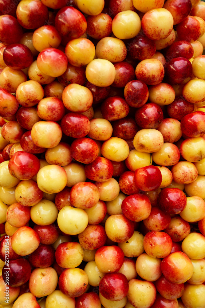A lot of yellow and red cherries on sale at farms market A lot of yellow and red cherries on sale at farms market