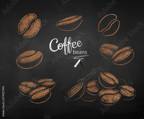 Vector chalk drawn sketches set of coffee beans