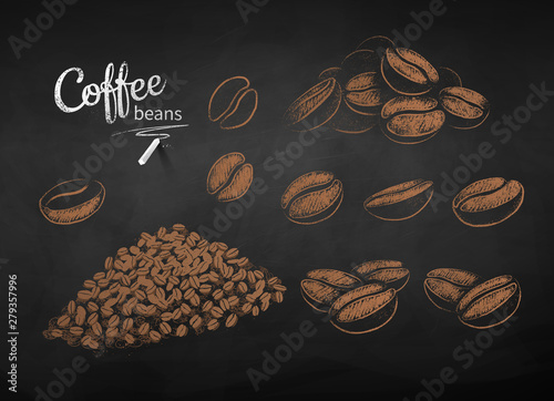 Vector chalk drawn sketches set of coffee beans