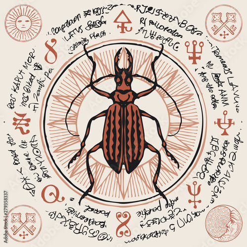 Illustration of a hand-drawn long-horned beetle on an old abstract illegible text written in a circle with magical inscriptions and symbols. Vector banner in retro style