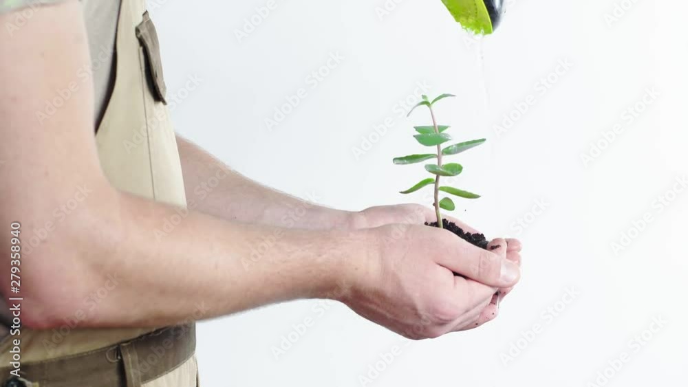partial view of gardener holding handful of soil with green sprout under pouring water partial view of gardener holding handful of soil with green sprout under pouring water