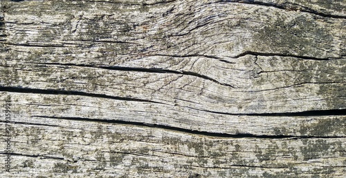 background with texture of wood