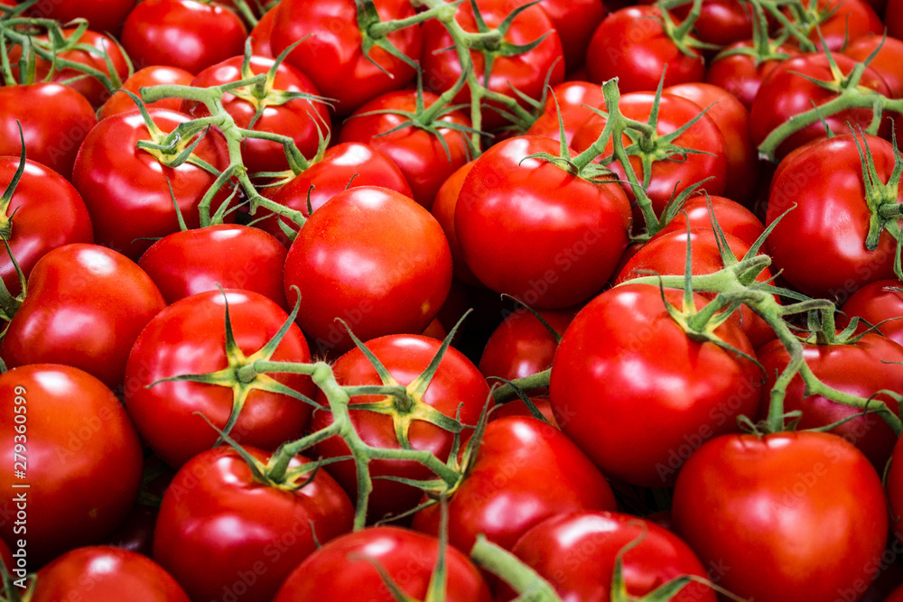 many raw tomatoes, tomato background