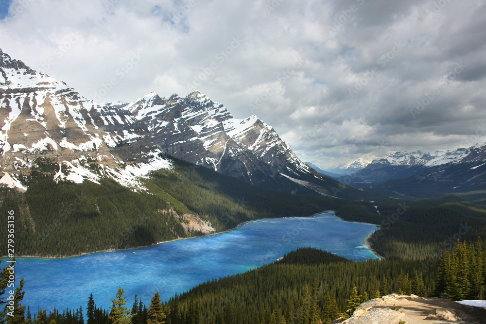 Fototapeta premium Peyto Lake