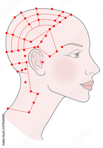 Active acupuncture points on the profile template Girl with shaved bald hairless head and a beautiful skull. Vector image