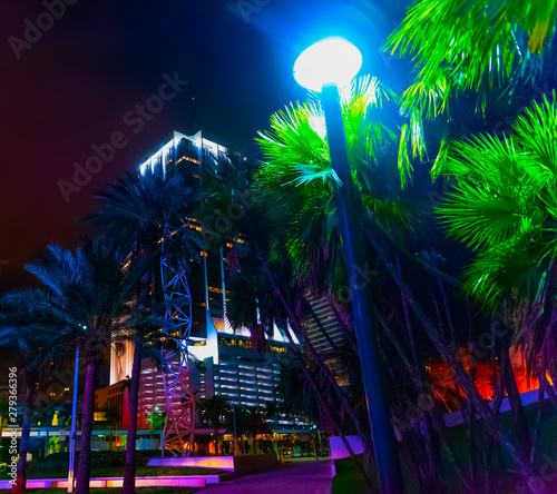 Palm trees in downtown Miami by night © Gabriele Maltinti