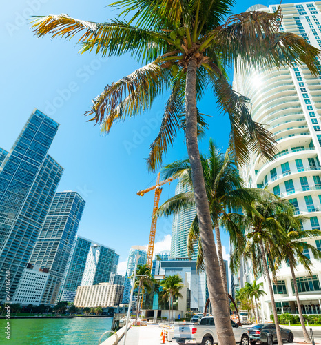 Palm trees and skyscrapers in Miami Riverwalk © Gabriele Maltinti