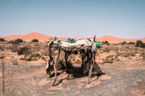 Berber nomad camp, Sahara desert of Morocc. Old african tradition