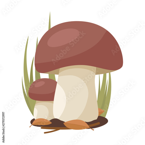 Two white mushrooms grow on a background of grass