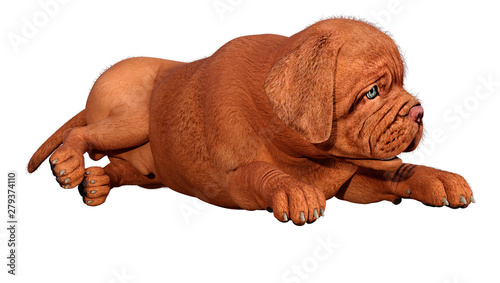 3D Rendering Puppy on White