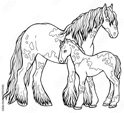 Horse runs trot. Coloring book. The horse runs trot. Coloring book. Tinker is a thoroughbred horse.