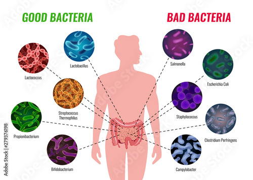 Good And Bad Bacteria Poster photo