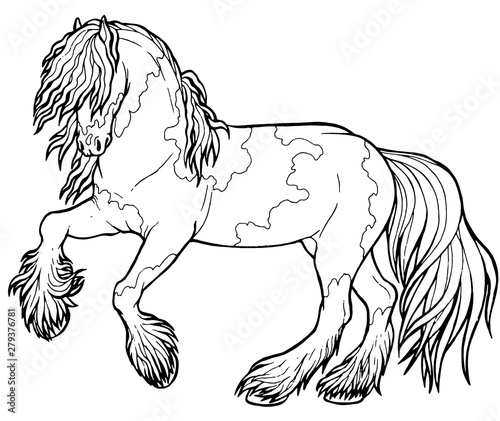 Horse runs trot. Coloring book. The horse runs trot. Coloring book. Tinker is a thoroughbred horse.