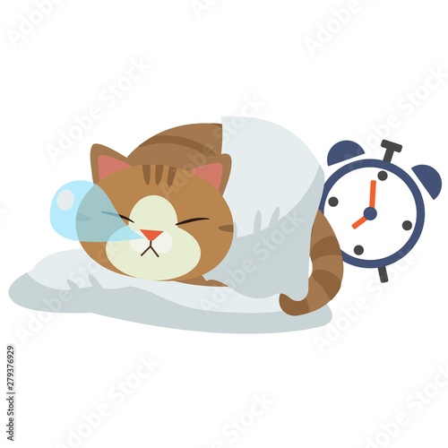 The character of cat sleeping on the white background. The cat sleeping and it have snot balloon form the nose. behide of the cat have clock.hope it have a sweet dream.a cute cat in flat vector style