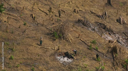 A hand held, medium shot of some people cutting wood to form smaller piles, on a hill. photo
