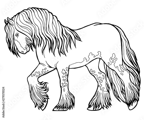 Horse runs trot. Coloring book. The horse runs trot. Coloring book. Tinker is a thoroughbred horse.