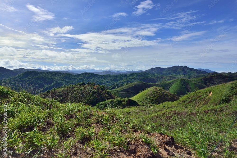 Forest in West Of Thailand with Landscape View Forest in West Of Thailand with Landscape View