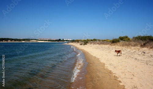 beautiful beach with clear water 