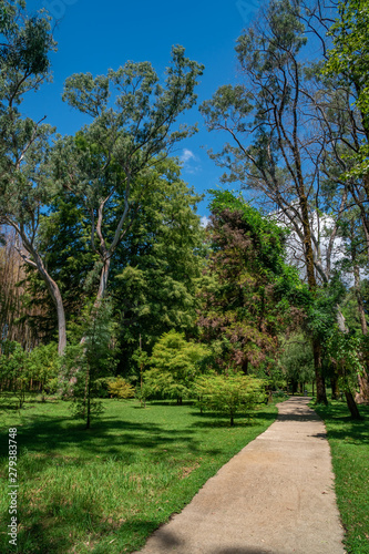 Tsvermaghala park in Guria. Travel to Georgia.