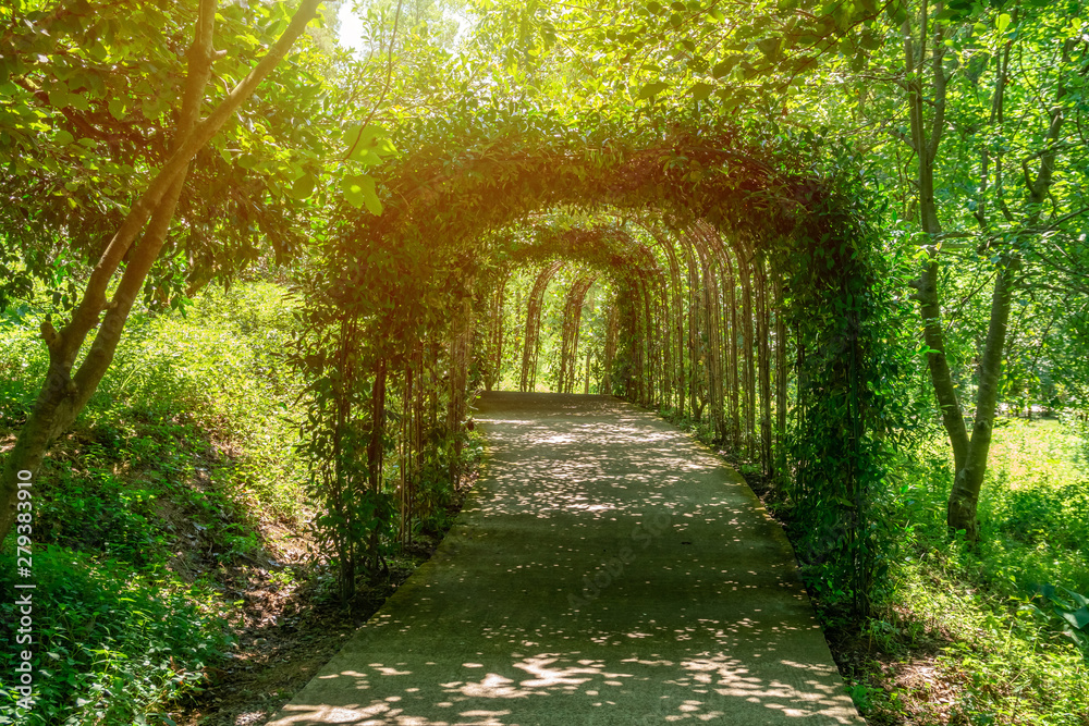 Beautiful green tunnel with light in background in Tvermaghala park. Georgia.