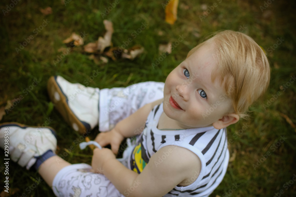 little boy sitting on green grass in the park little boy sitting on green grass in the park