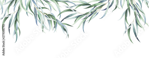 Eucalyptus branches isolated on white. Watercolor hand drawn illustration.