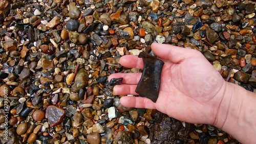 Slow motion of finding bone remains between stones. photo