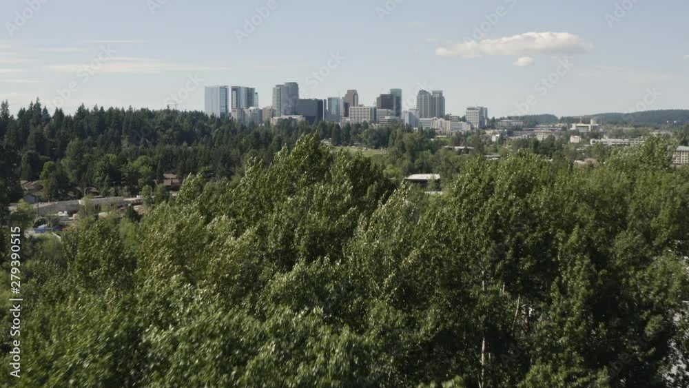 City of Bellevue Washington Aerial Drone Flying Above Tree Revealing Futuristic Cityscape City of Bellevue Washington Aerial Drone Flying Above Tree Revealing Futuristic Cityscape