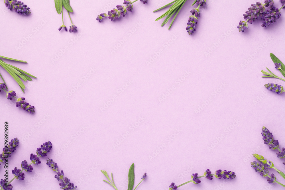 Lavender Flowers On Pink Background Lavender Flowers On Pink Background