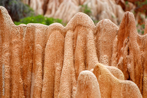Rote Sandsteinformation (rote Tsingys) im Tsingy Rouge Park Madagaskar photo